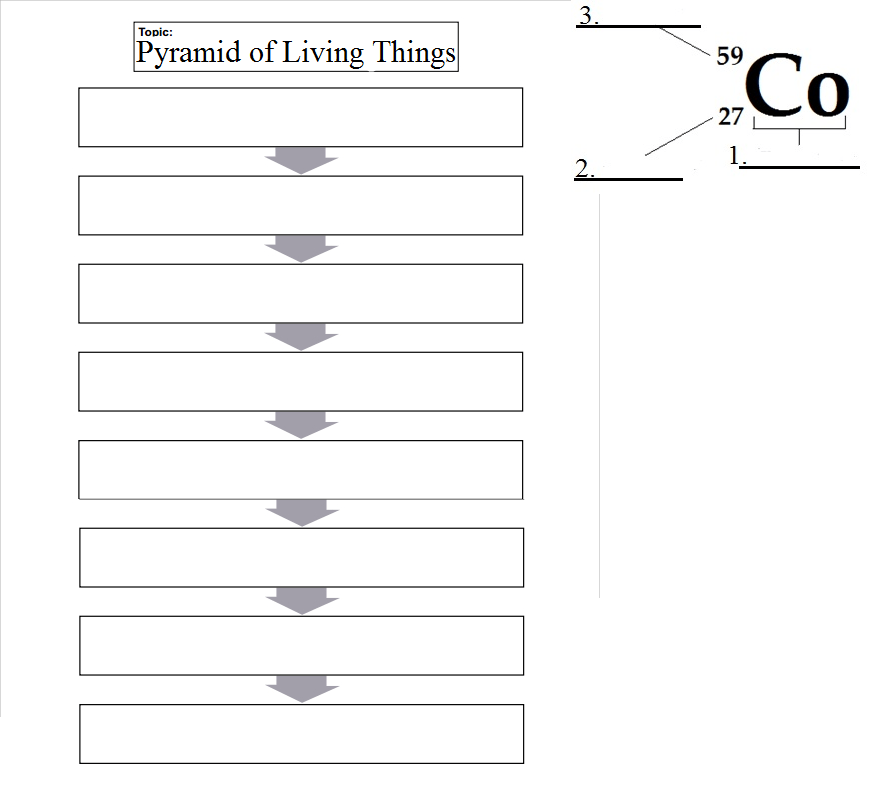 Biology 110: Exam 1 Diagram | Quizlet