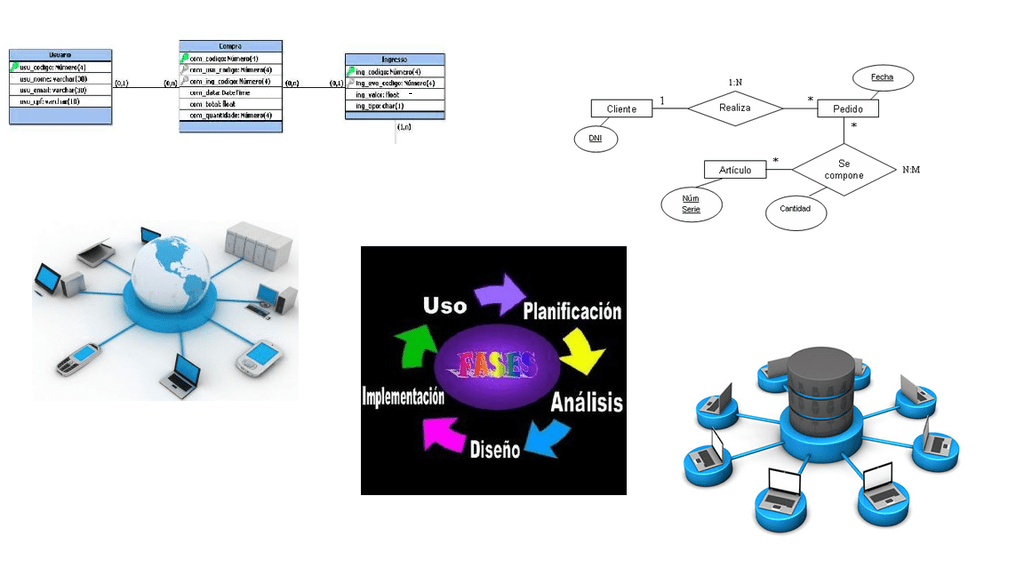 Diagrama de Acordeon | Quizlet