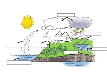 Water Cycle Fill-In Diagram | Quizlet