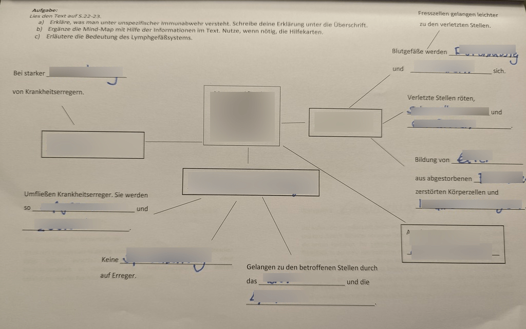 Bio Lek Diagram Quizlet