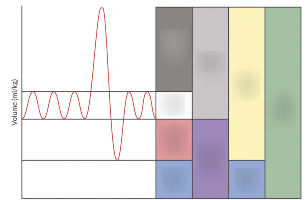 Lung Volumes & Capacities Diagram | Quizlet