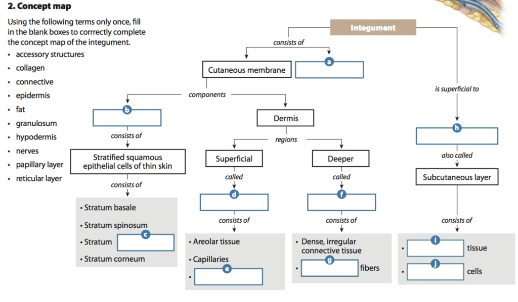 28 Concept Map On Cells Online Map Around The World