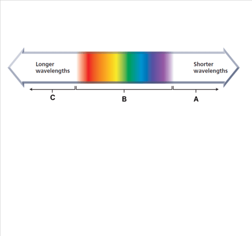 What Are The Frequency And Wavelength Ranges Of Visible Light Quizlet