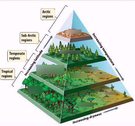 Biomes Diagram | Quizlet