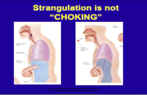 Non Fatal Strangulation (strunk) Flashcards | Quizlet