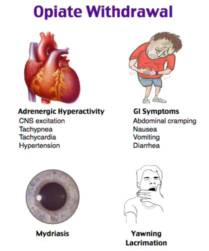 PMHNP Study Prep Flashcards | Quizlet