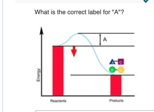 Exam 3 Pictures Flashcards | Quizlet