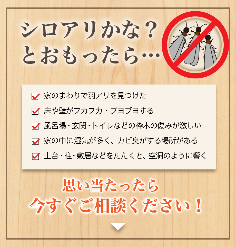 奈良でシロアリ予防・シロアリ駆除をするならOffice.N（オフィス エヌ）