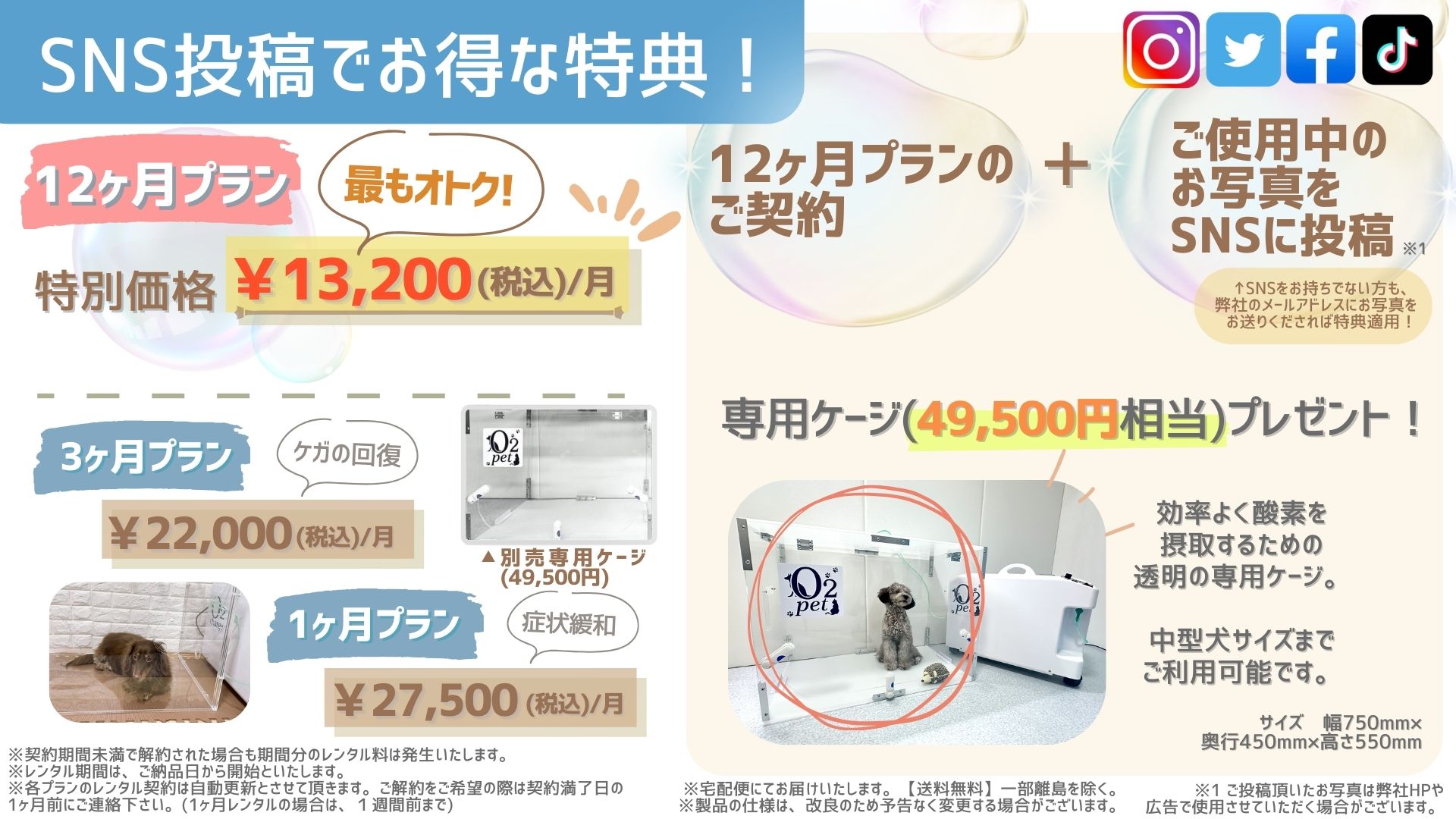 ペット用酸素室で愛犬といつまでも幸せに！｜O2チャージ（オーツーチャージ）