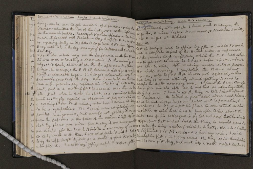 Diary View Openaccess