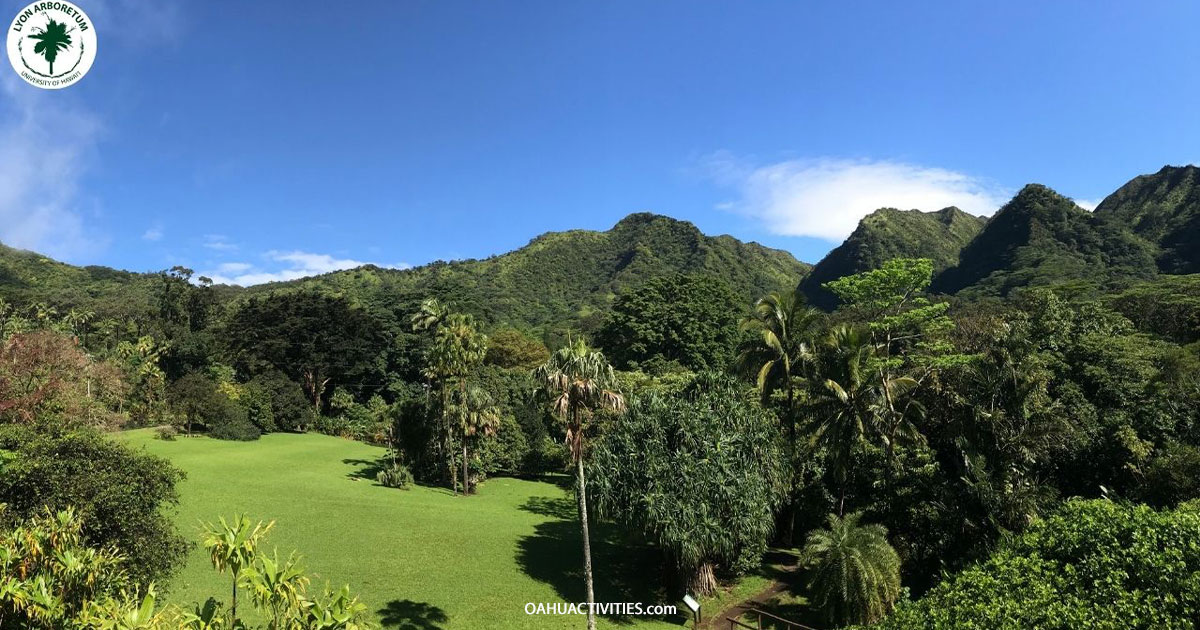 Lyon Arboretum Top Things To Do on Oahu