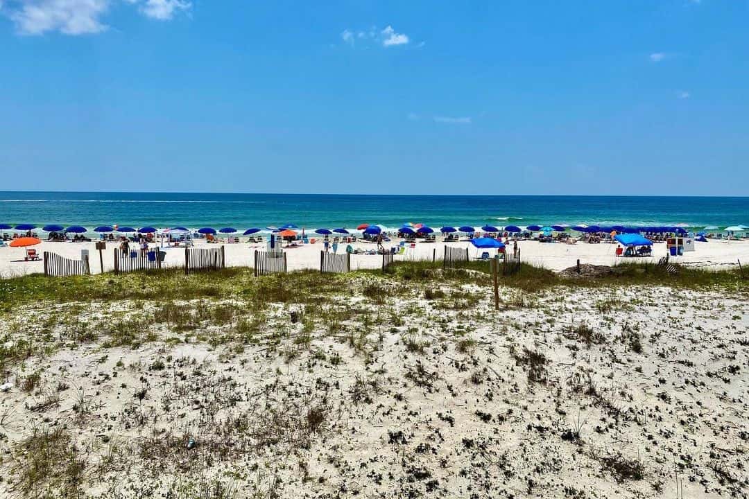 Gulf Shores Alabama Oak Rowan Foodie
