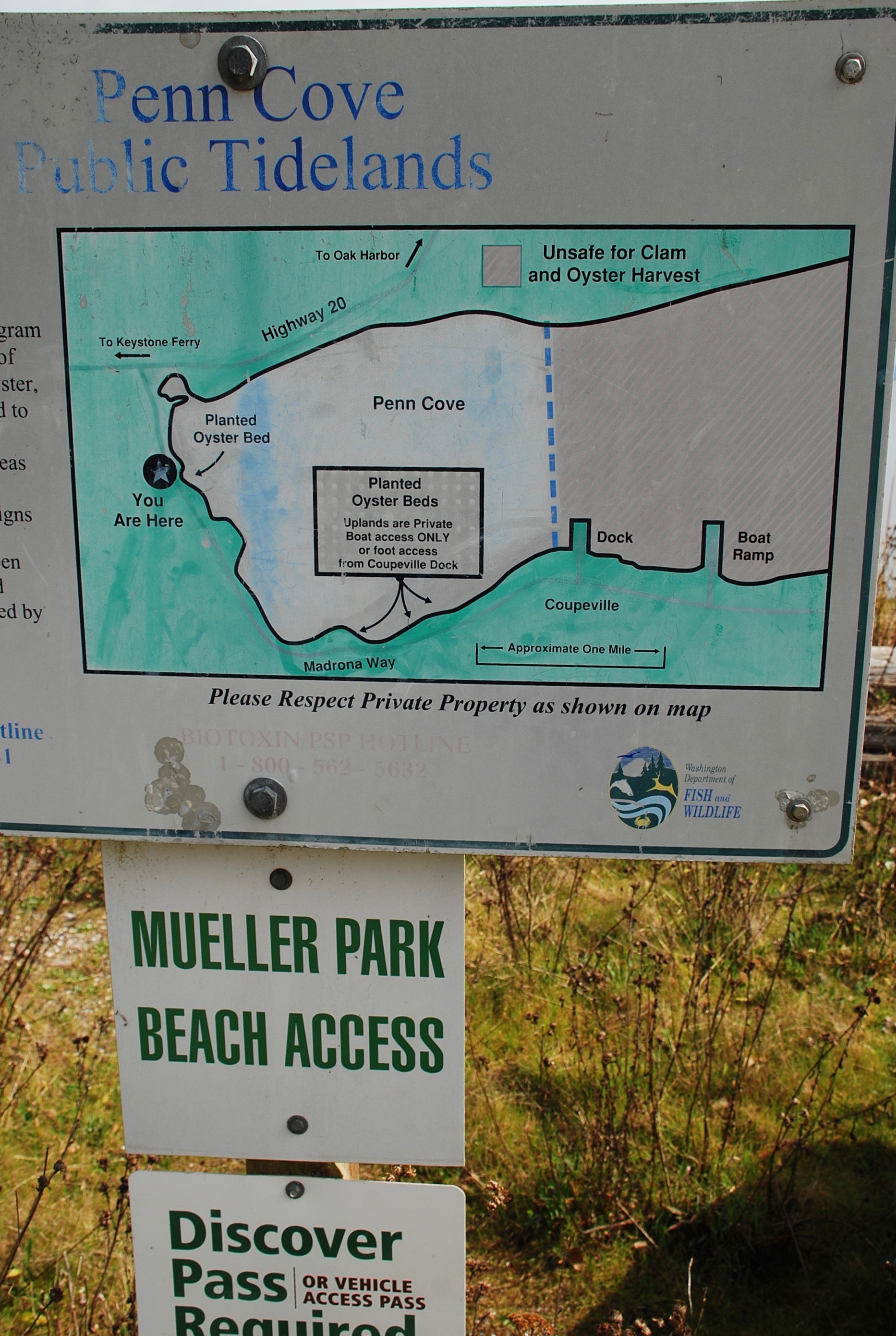 Land of Information Suppression Oak Bay Starfish