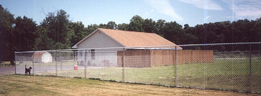 Oakdale Retrievers labrador retriever,dog training