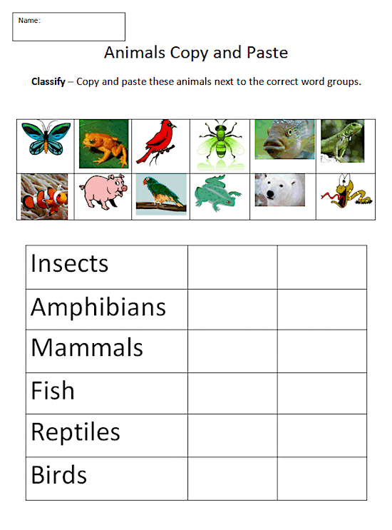 animal worksheet NEW 635 ANIMAL CLASSIFICATION WORKSHEETS FOR MIDDLE