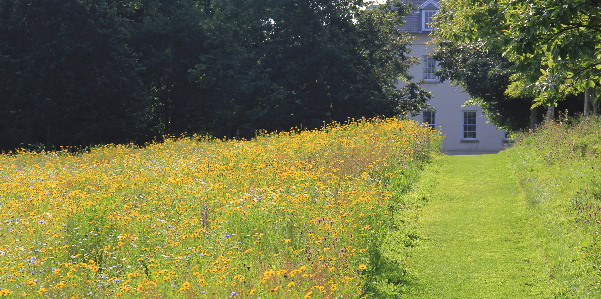 Oakfield Park Things To Do In Donegal Donegal Attractions