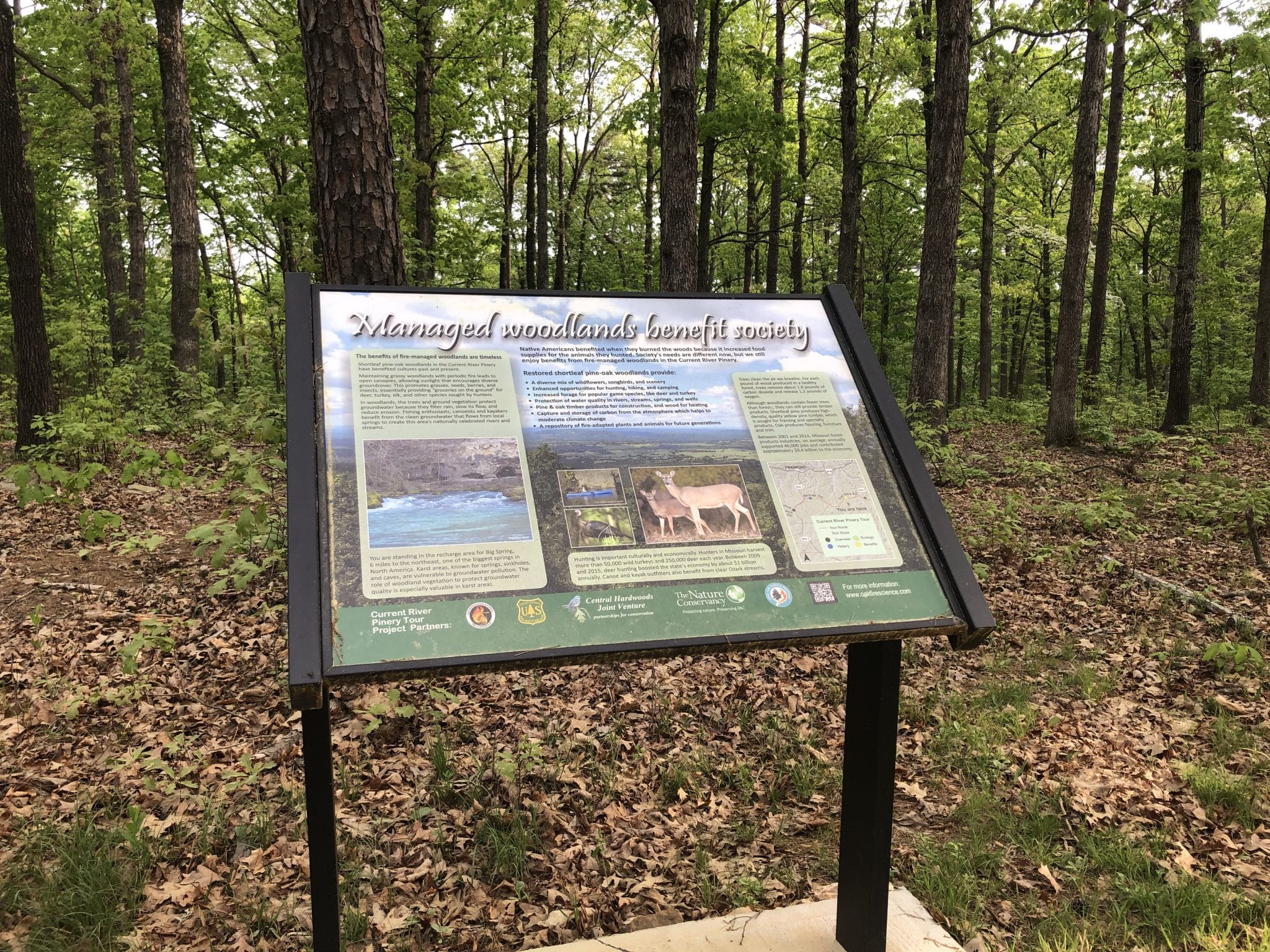 Stop 4. Benefits Managed Woodlands Benefit Society Oak Fire Science