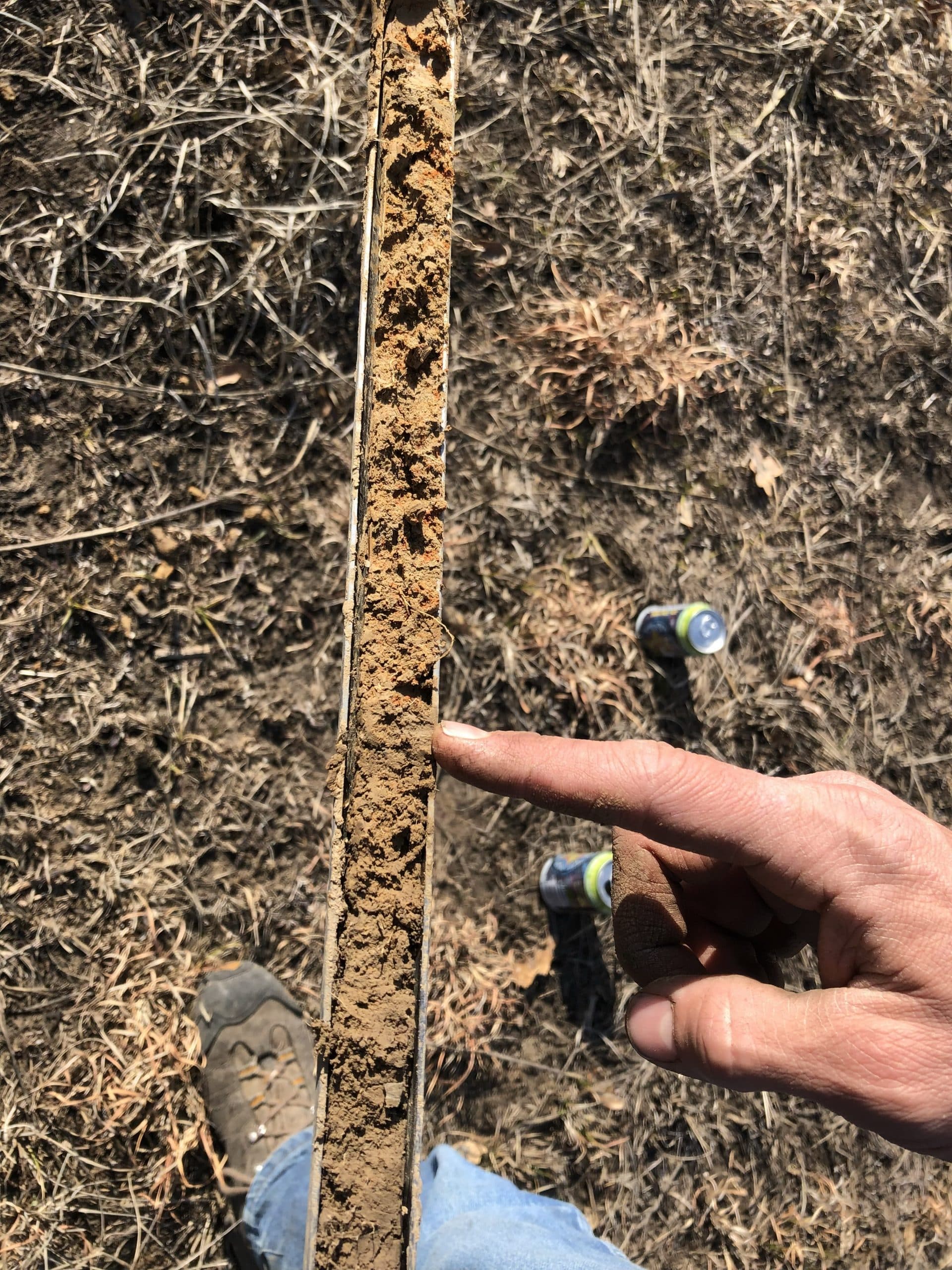 The effect of prescribed fire on above and belowground soil properties in the Ozark Highlands