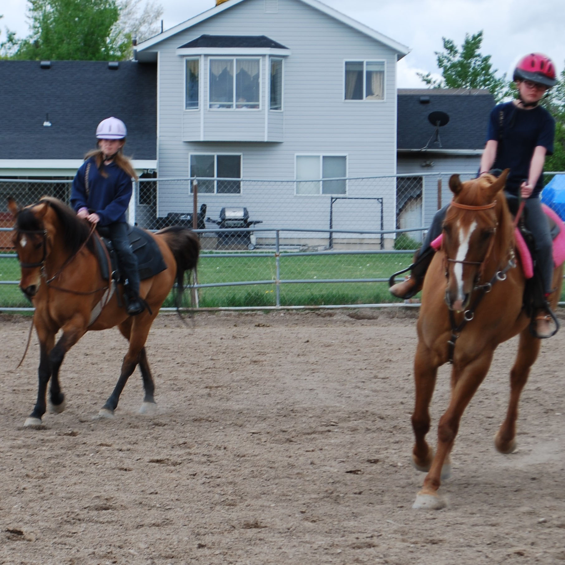 Vista Fun Show April