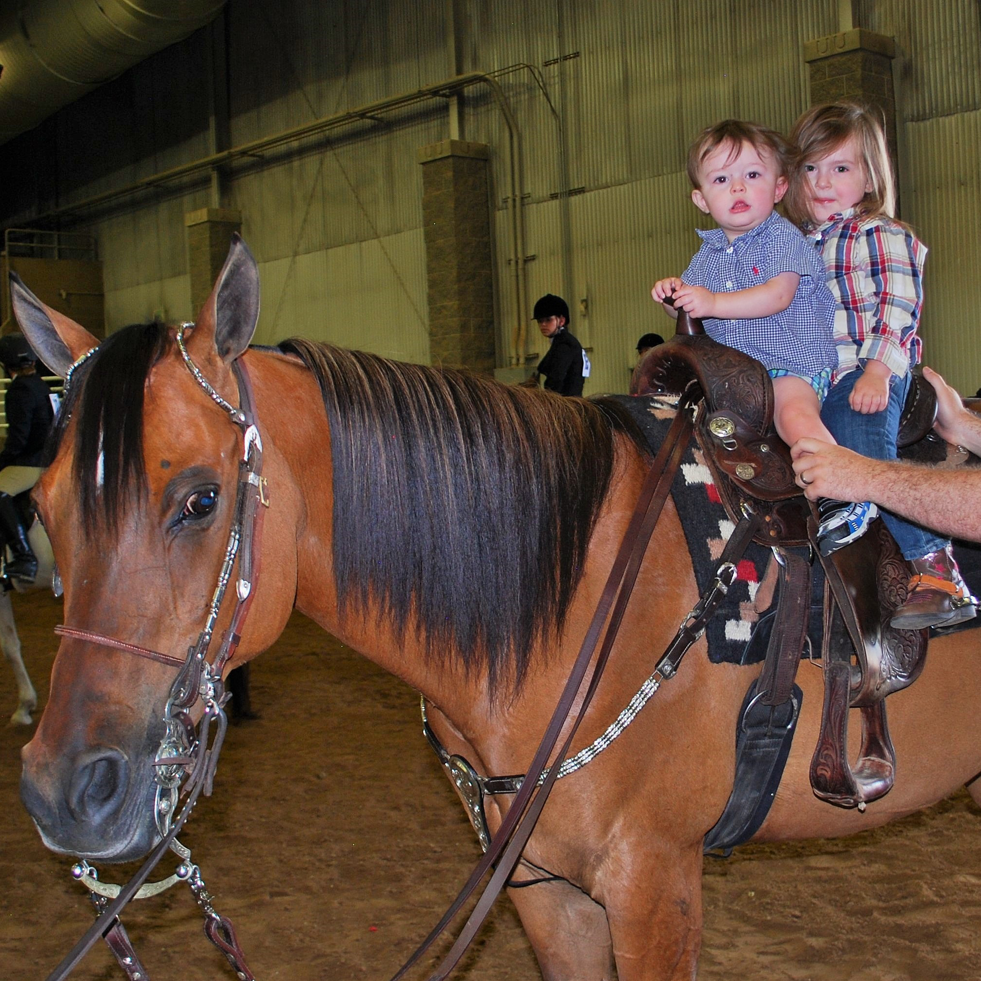UABHA Howard Franklin Classic Horse Show