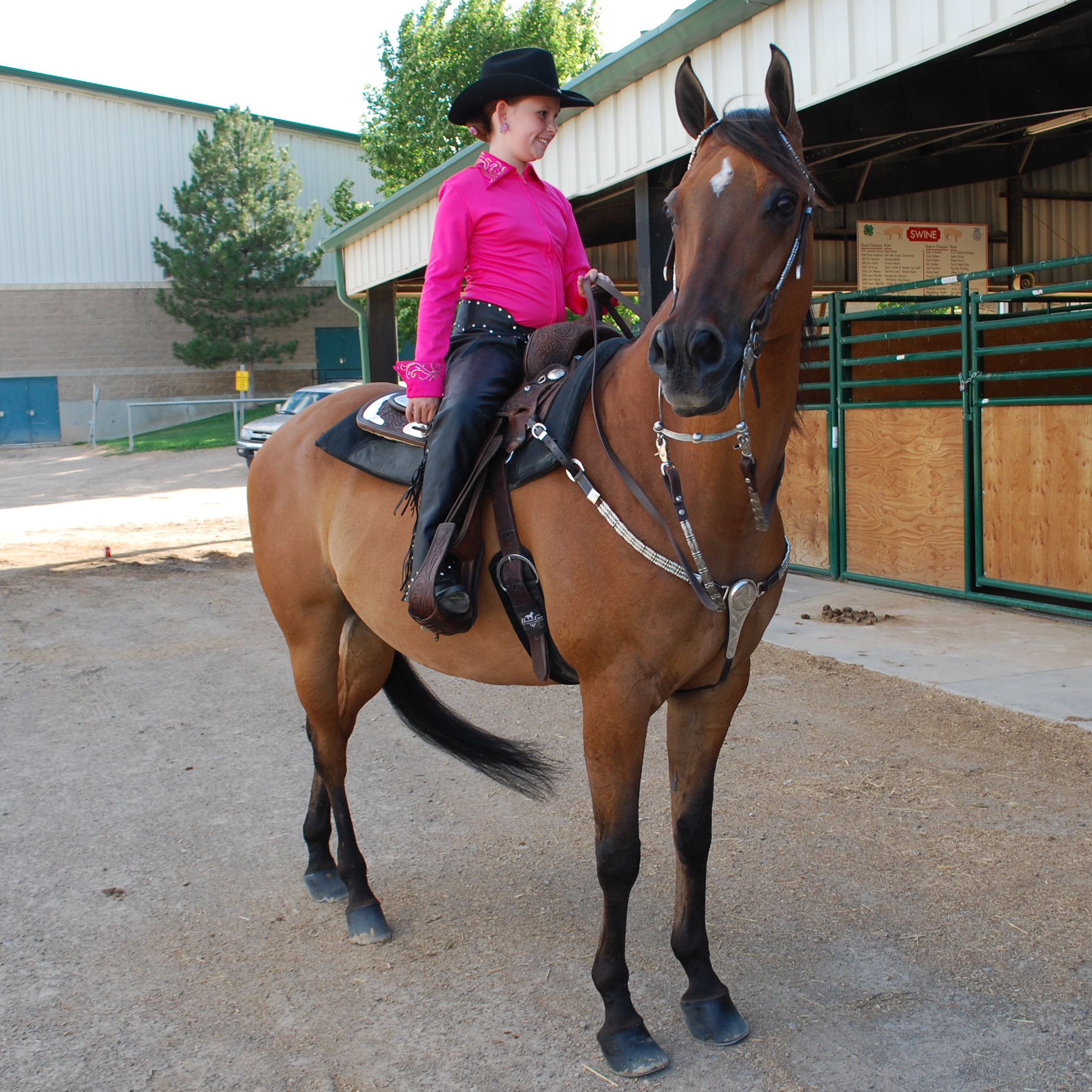 UABHA Howard Franklin Classic Horse Show