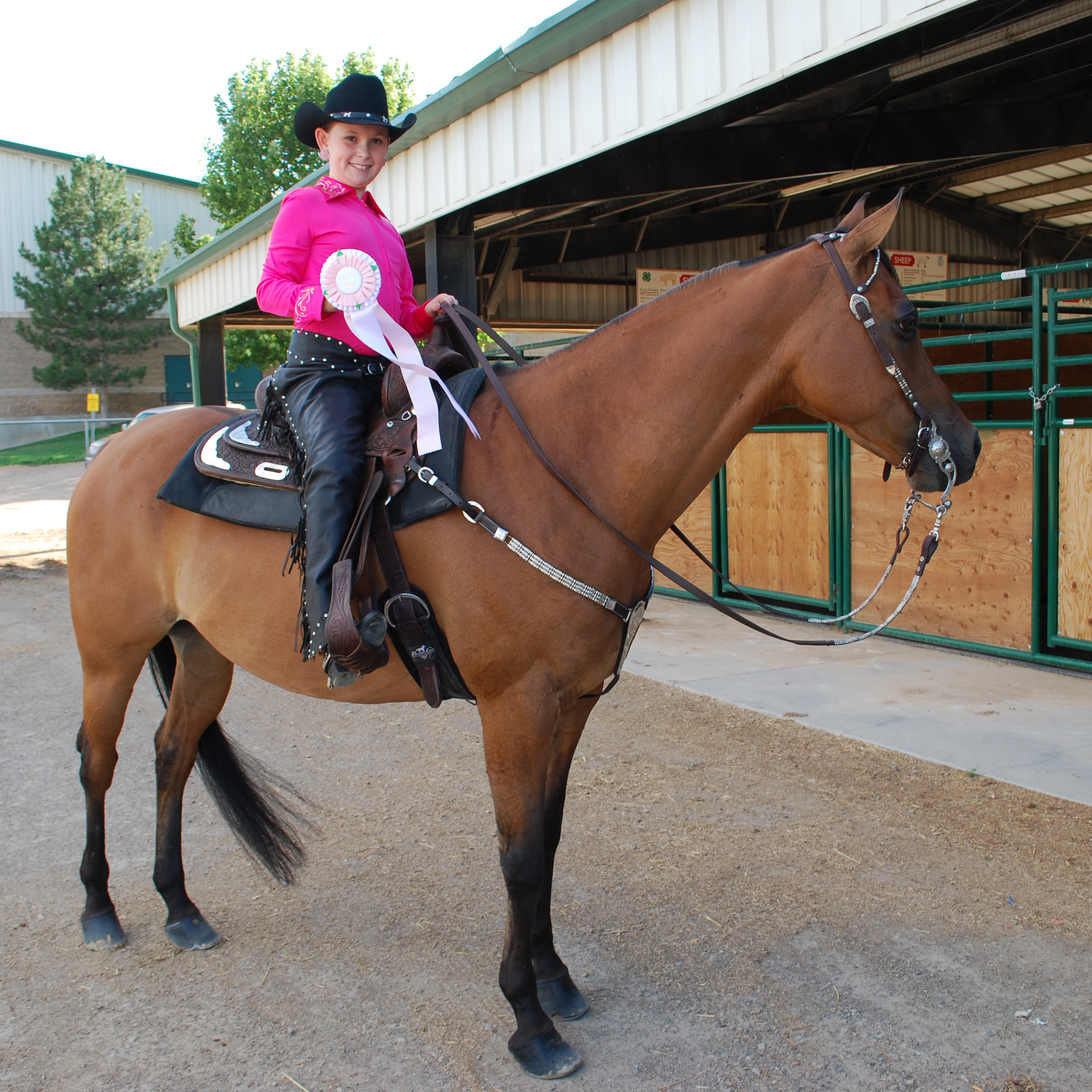 UABHA Howard Franklin Classic Horse Show