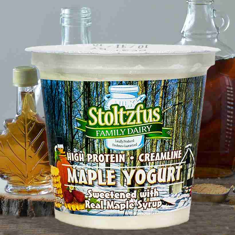 Stoltzfus Family Dairy Maple Yogurt 8oz Oak Hill Bulk Foods