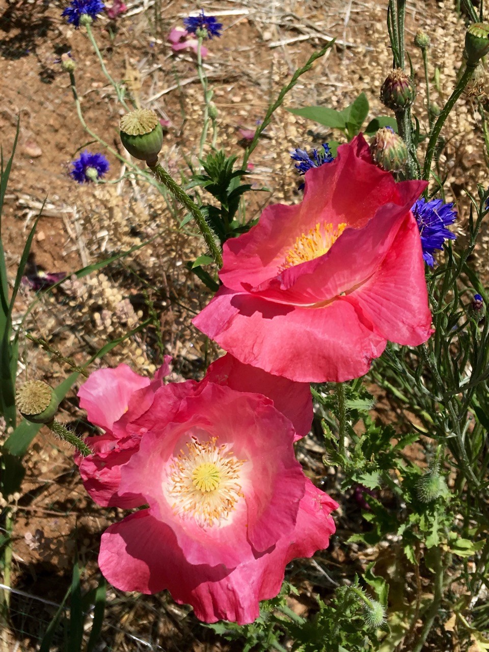 Home Oak Hills Owner Association