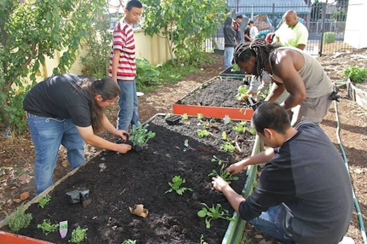 We can build a greener future through socially responsible banking