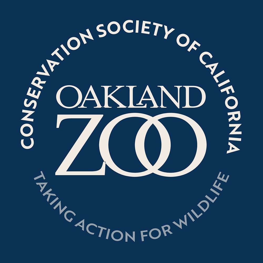 The Oaklandside Shop Local Sweepstakes