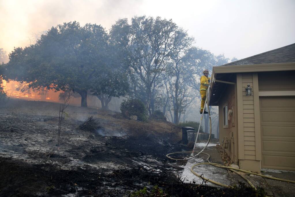The Story of an Oakmont Committee’s Labor of Love Oakmont Observer