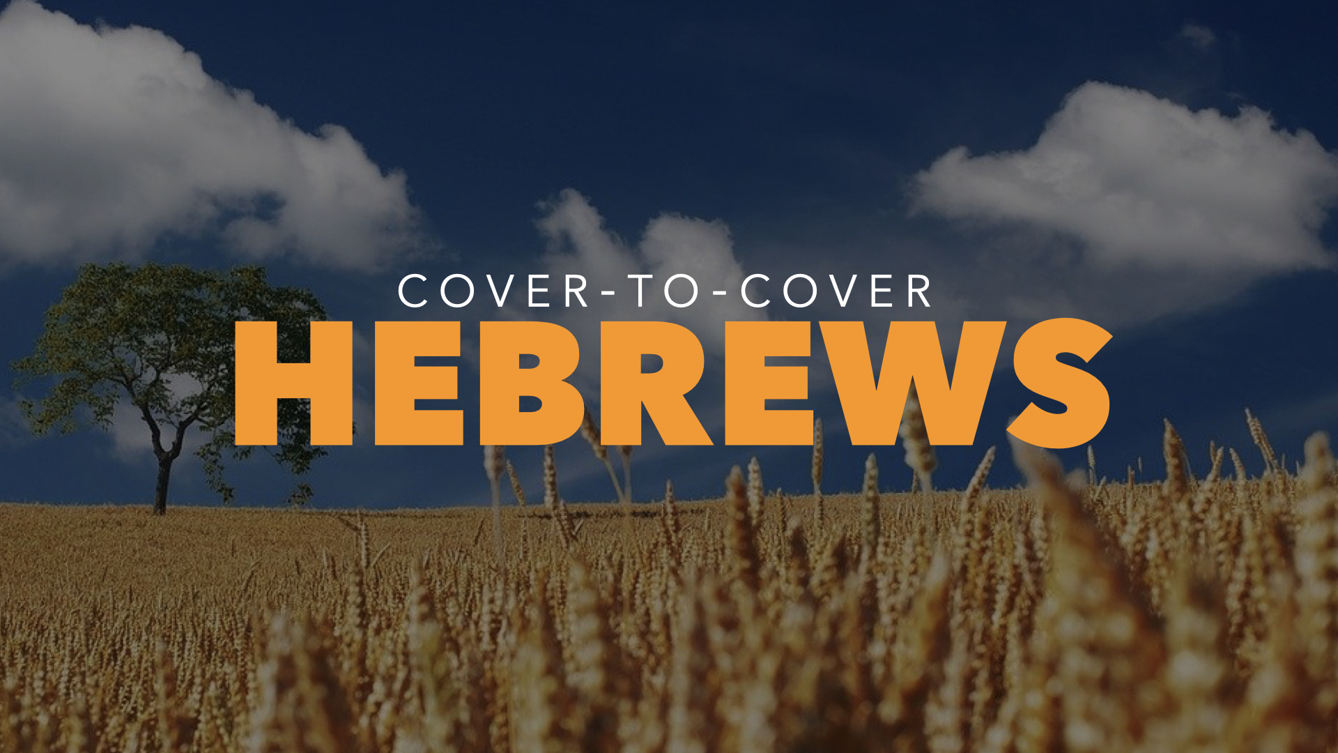 The Book of Hebrews (CovertoCover Series) OAKRIDGE BIBLE CHAPEL