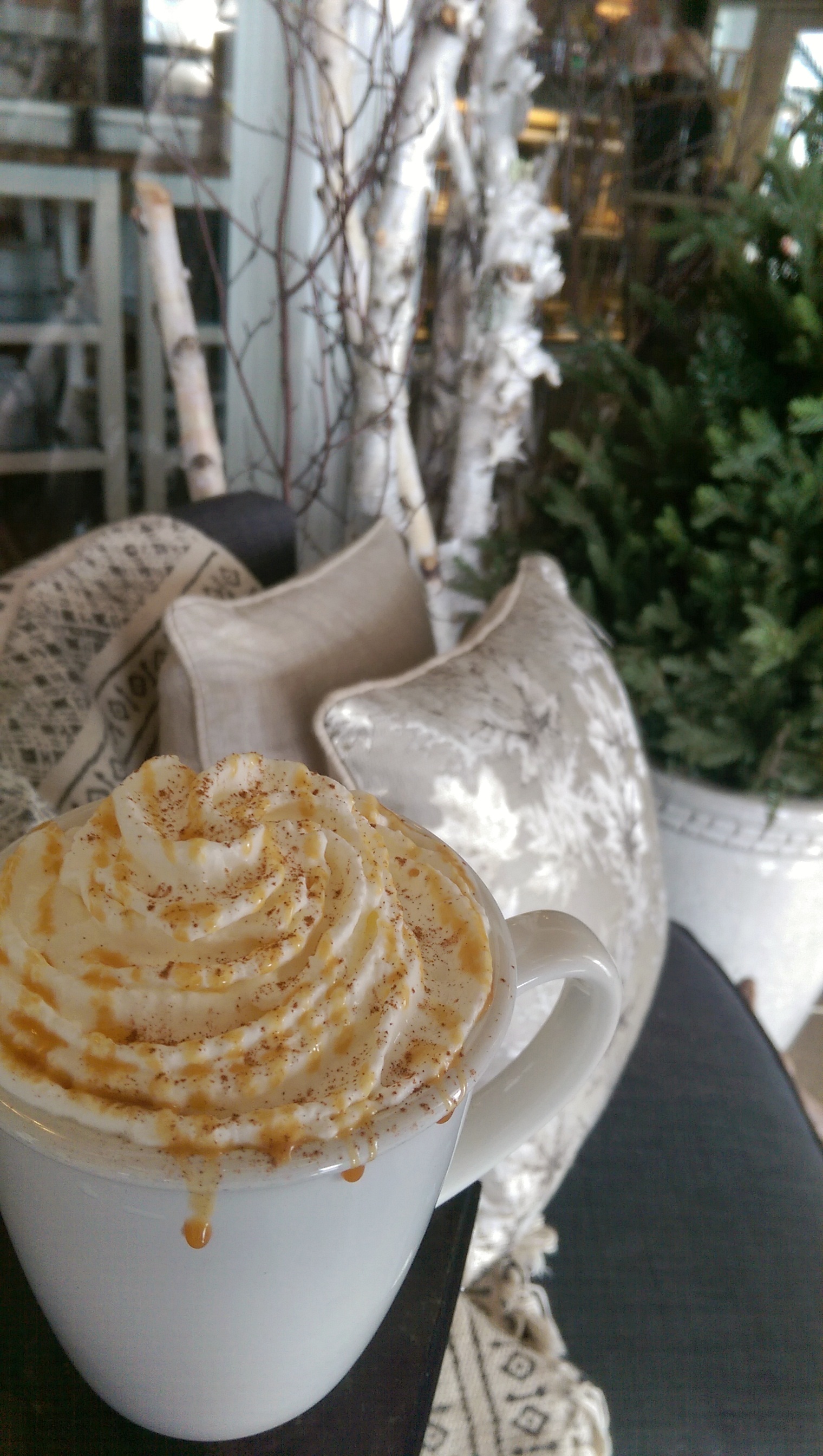 IMAG330901 Oakridge Garden Centre