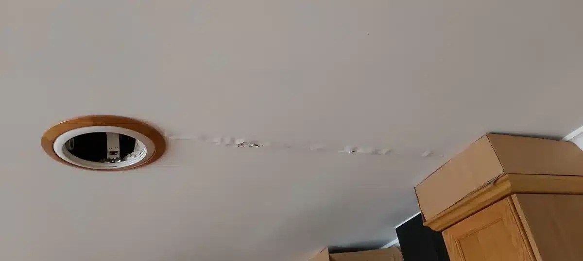 10 Practical Steps What to Do When Your Roof is Leaking