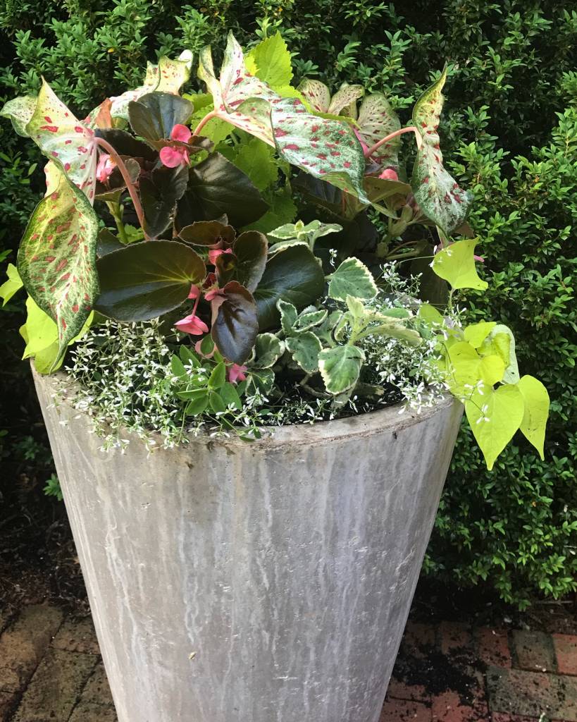 summer container gardens Oak Street Garden Shop and Local Market