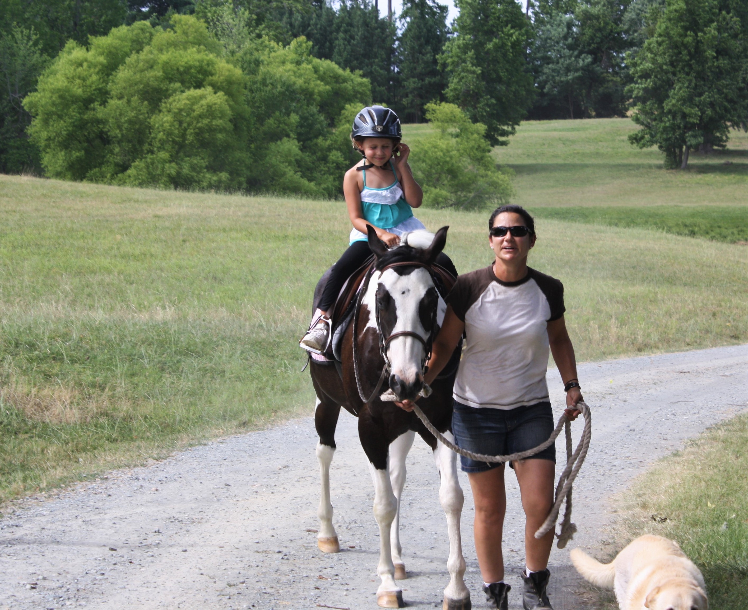 Riding Lessons Rates Oak View Farm