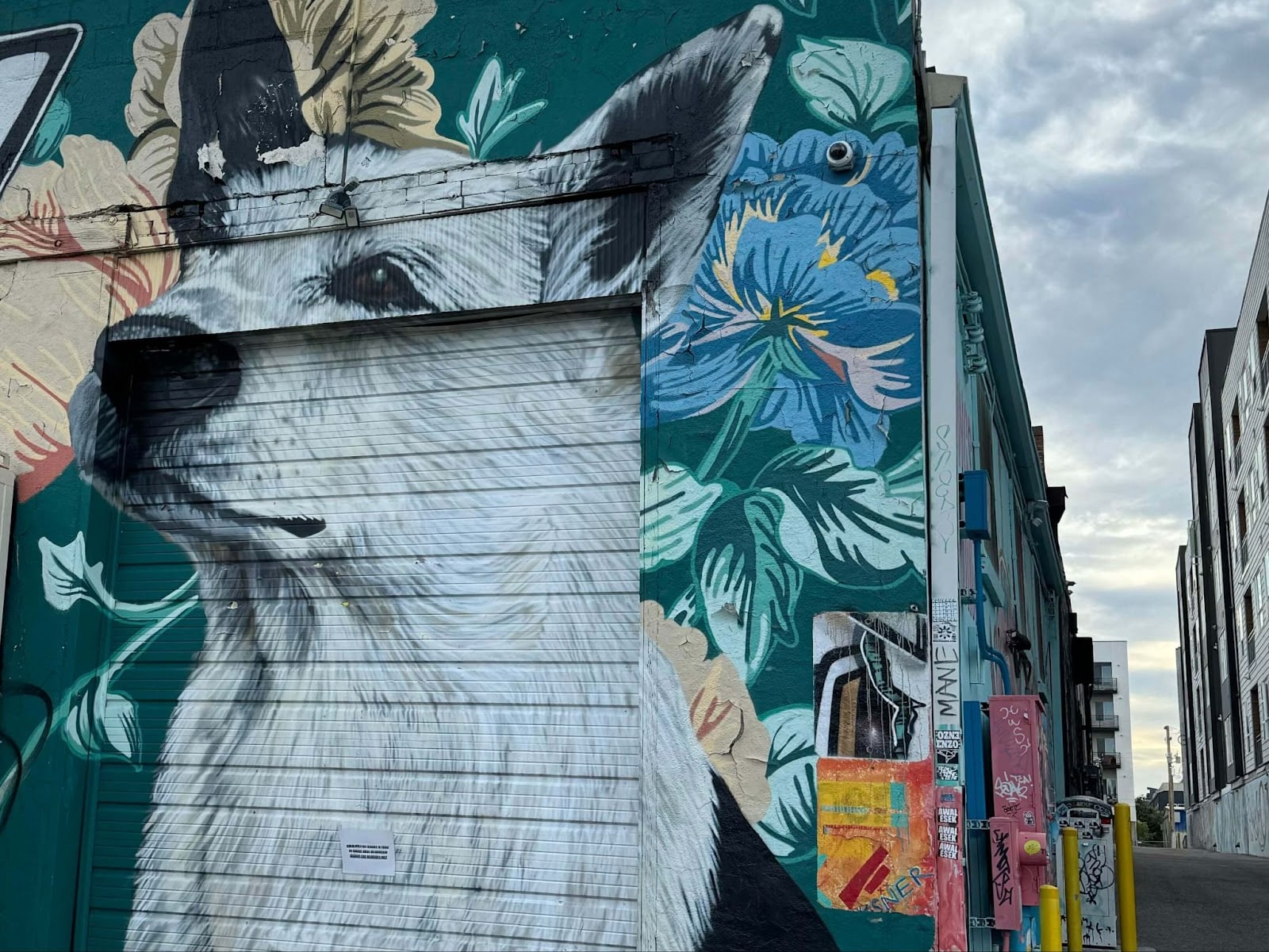 Where to Find the Best Denver Murals A SelfGuided Tour