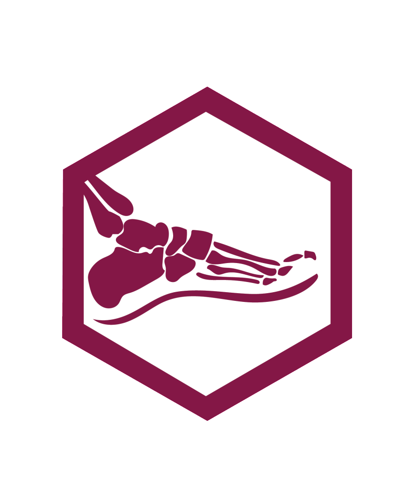 Berkeley Foot And Ankle Podiatry Group, Inc Orthopedic