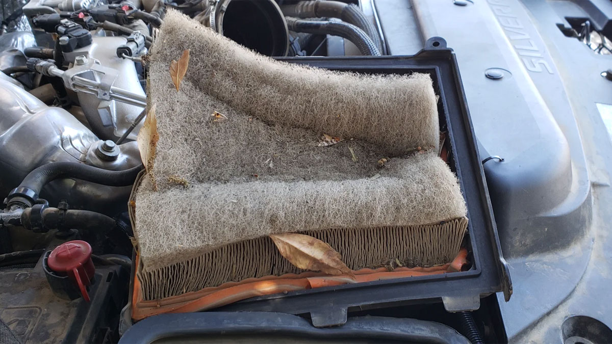 5 Symptoms of a Bad Air Filter in Your Car (And Replacement Cost)