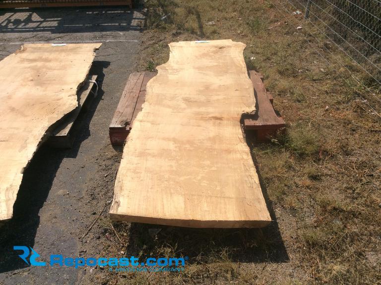 (1) spalted maple jumbo slab measuring...