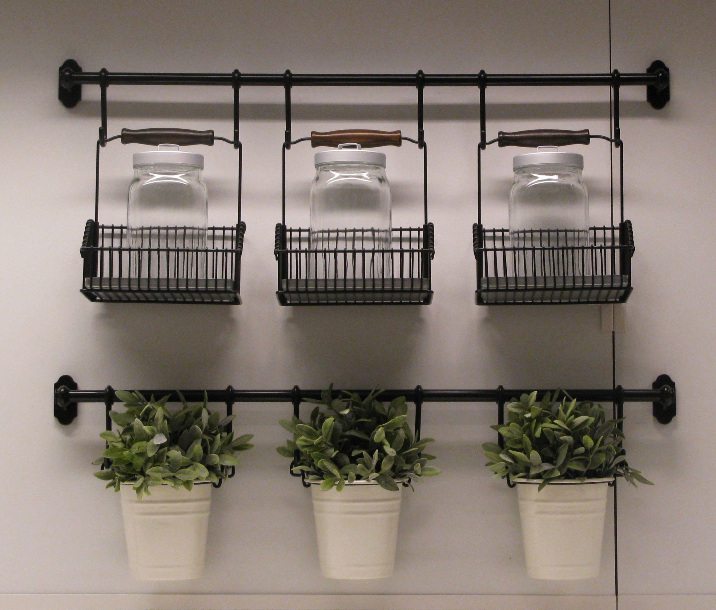 Selecting Plants for Green Walls OASESCAPES
