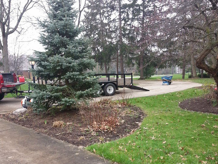 oasis lawn care services Tammi Frasier