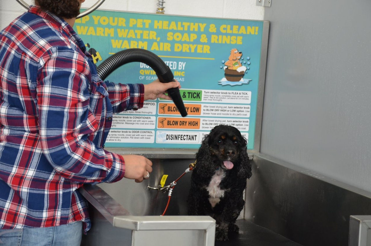 Dog Wash Oasis Car Wash