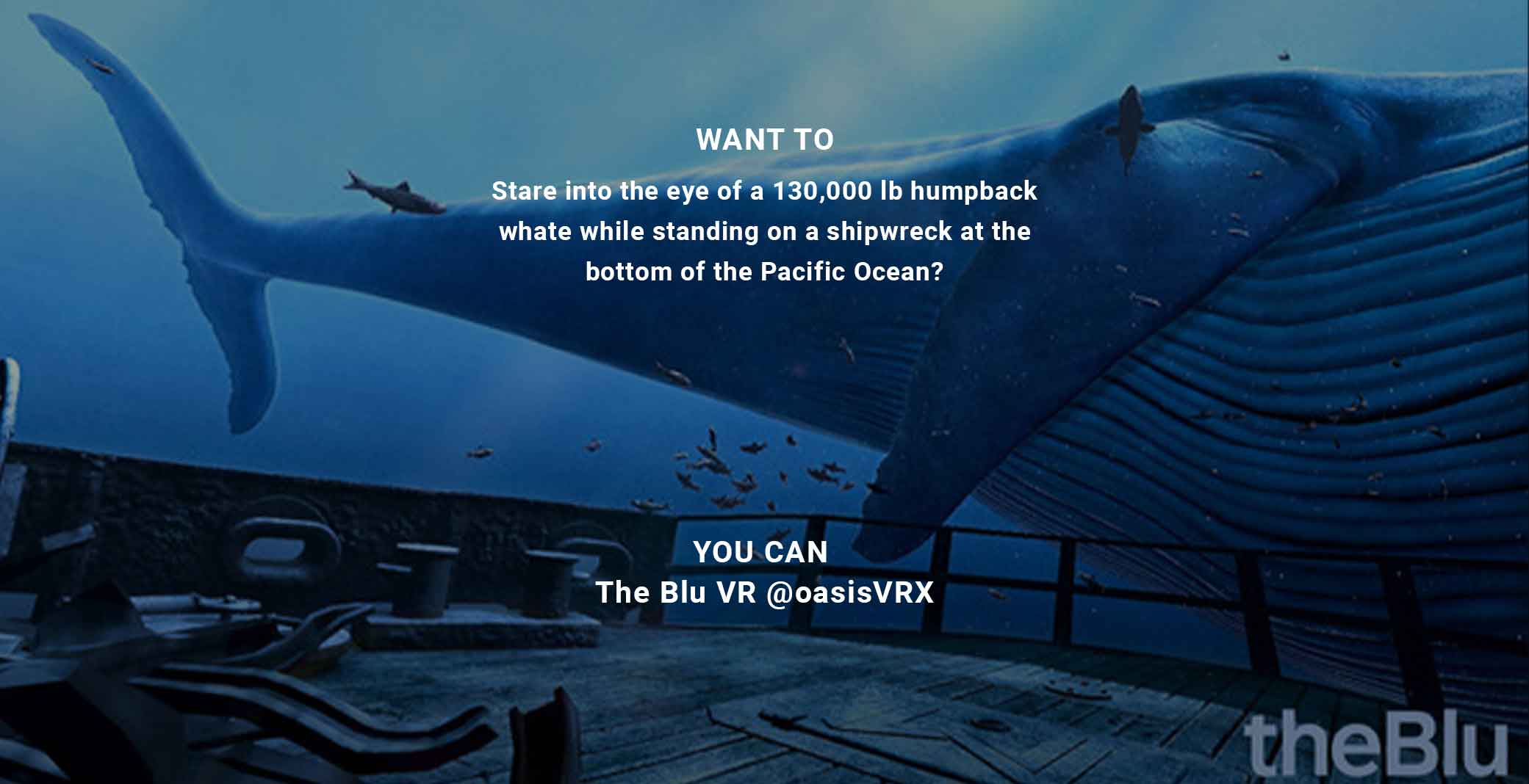 Virtual Reality Xperience oasisVRX Holmdel, NJ