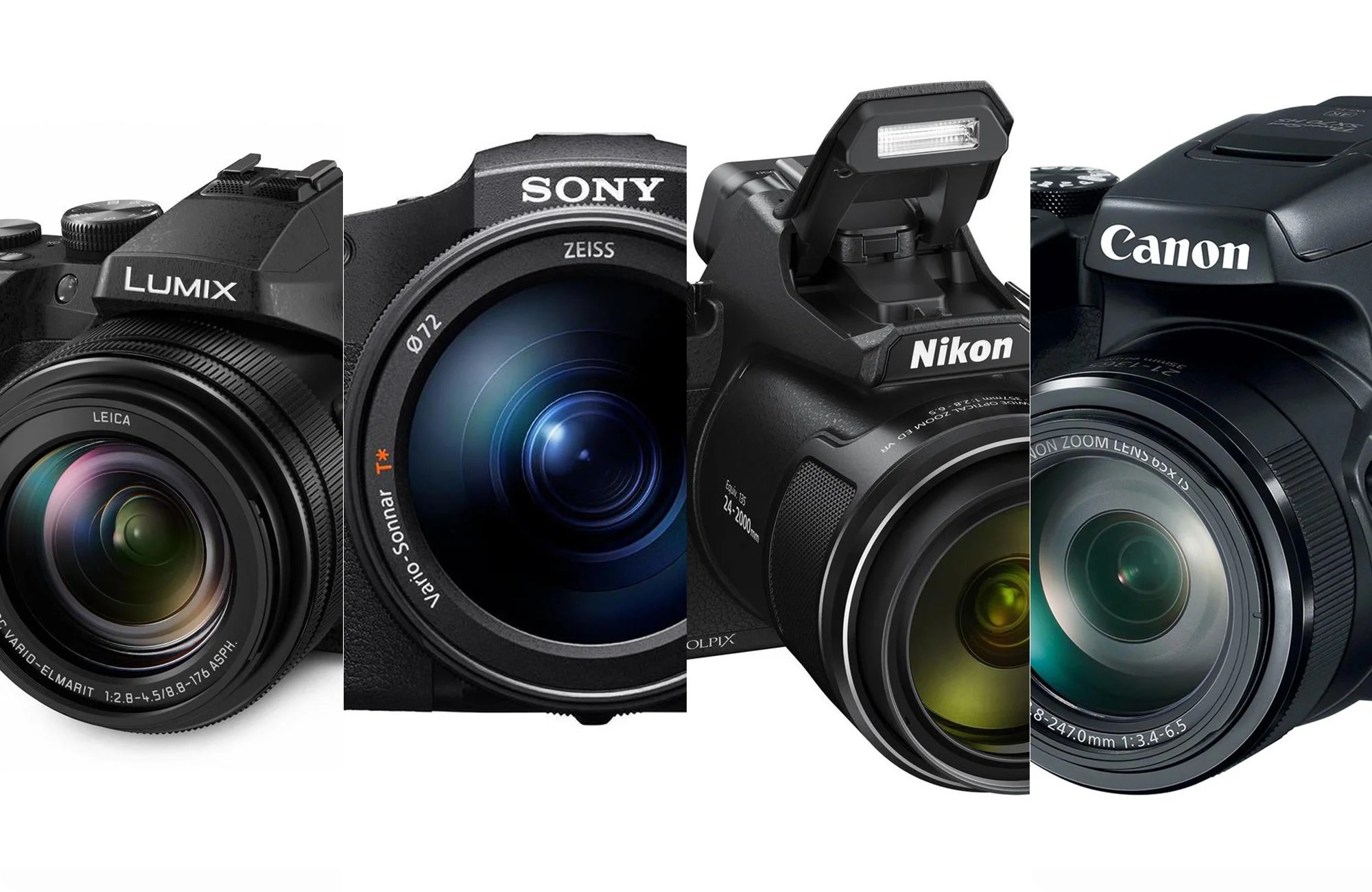 The Best Bridge Cameras of (Summer) 2022 Review & Buying Guide
