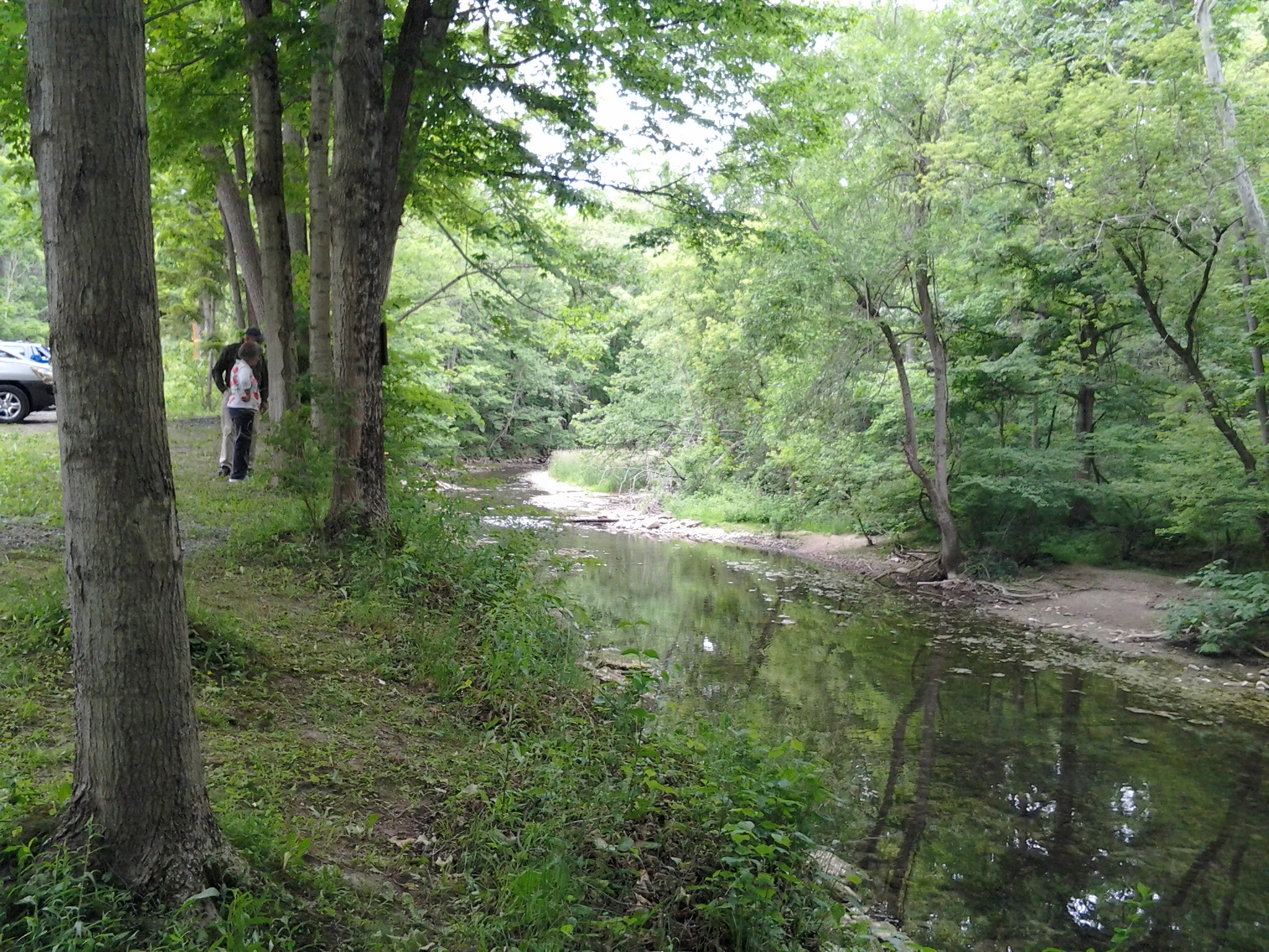 » 0615161646 Oatka Creek Watershed Committee