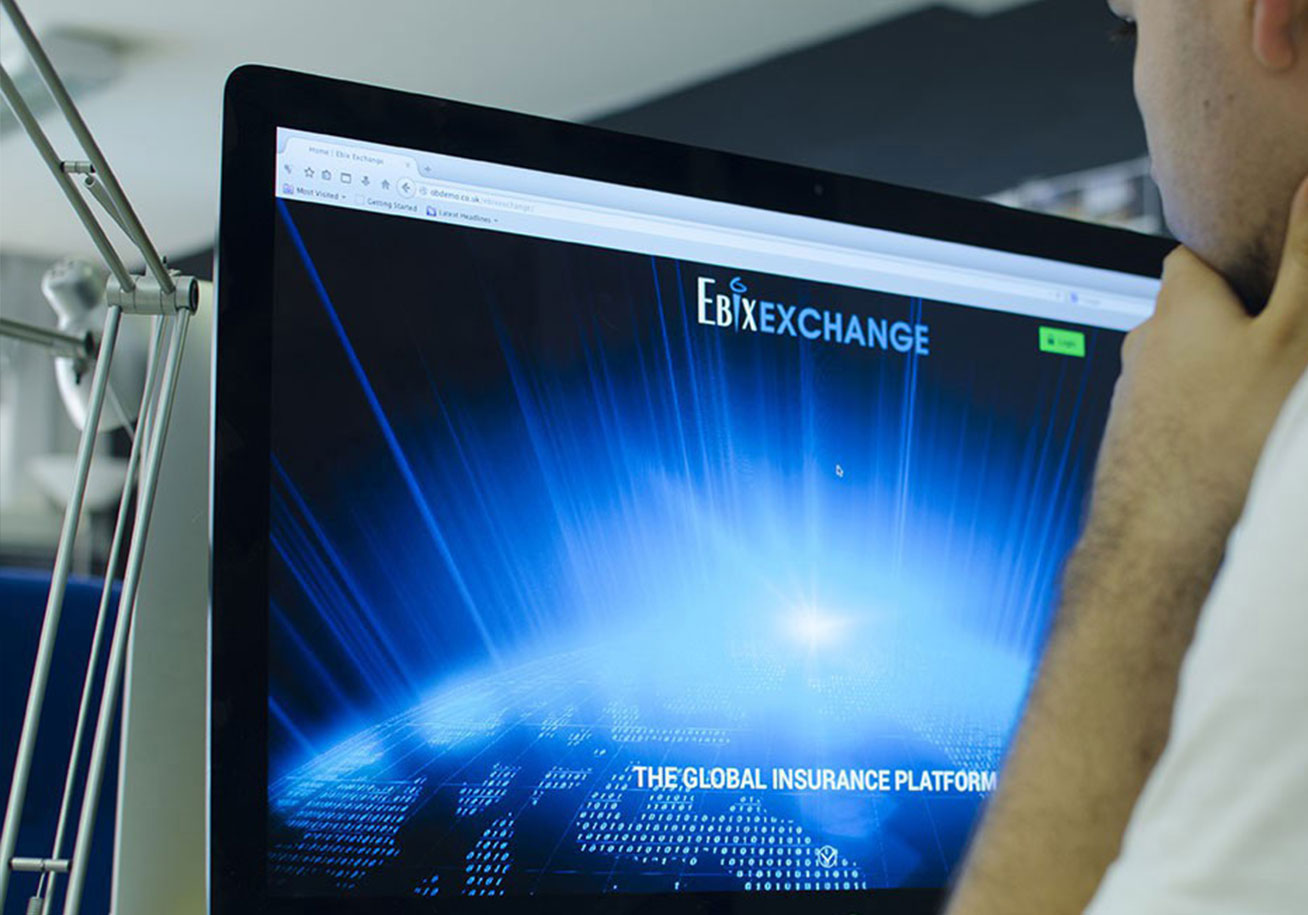 Ebix OB Consulting