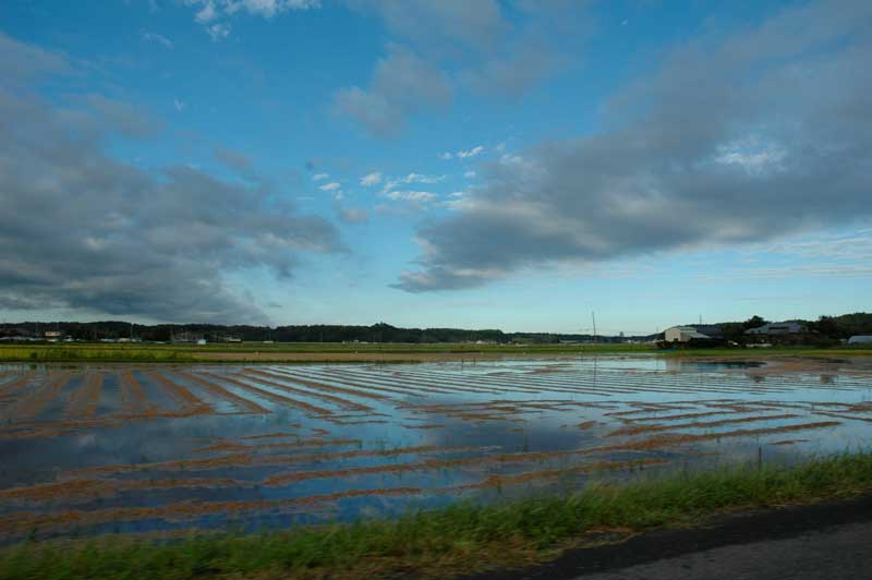 9月22日　7時2分　田んぼにずいぶん水が入っています