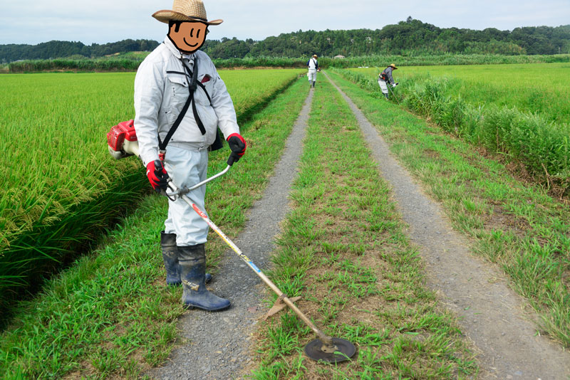 移動して農道を刈ります。Mさん、視線いらないです。