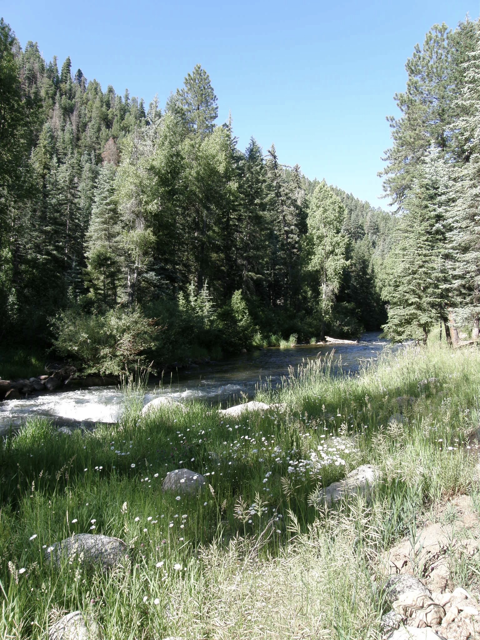 Las Animas River, the Florida river and the Gold King Mine Spill O